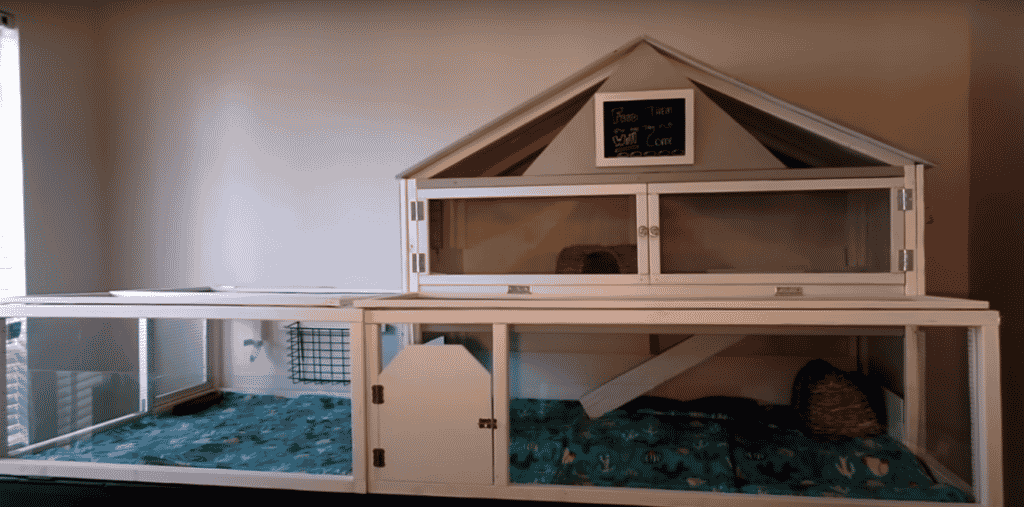 Best Wooden Cages for Guinea Pigs